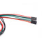 70cm 3 Pin Female-Female Dupont Line