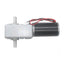 12/24V Double Shaft Worm DC Motor