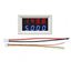 0.28'' DC 0-100V 10A/50A/100A LED Digital Voltmeter Ammeter Tester